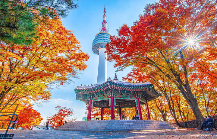 ĐỊNH VỊ TỌA ĐỘ 8 ĐIỂM NGẮM MÙA THU HÀN QUỐC ĐẸP NHẤT