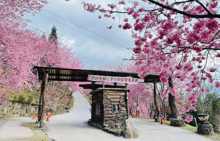 DU LỊCH SAKURA: 7 ĐIỂM ĐẾN NGOÀI NHẬT BẢN NGẮM HOA ANH ĐÀO TUYỆT ĐẸP