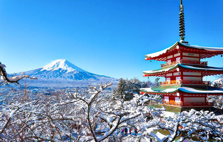 DU LỊCH NHẬT BẢN MÙA ĐÔNG – HÀNH TRÌNH KHÁM PHÁ XỨ SỞ HOA ANH ĐÀO TRONG TUYẾT TRẮNG