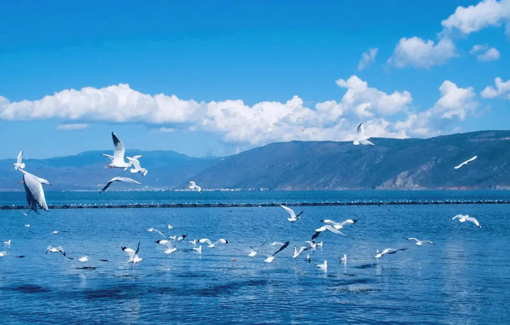 TRUNG QUỐC: CÔN MINH - KIÊU TỬ SƠN 4N3Đ