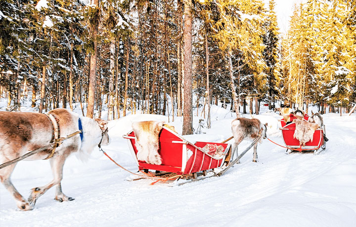 DU LỊCH CHÂU ÂU TẾT 2026: 7 THÀNH PHỐ MÙA ĐÔNG ĐẸP NHƯ CỔ TÍCH