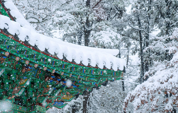 HÀN QUỐC MÙA ĐÔNG – VẺ ĐẸP CỔ TÍCH GIỮA XỨ SỞ KIM CHI