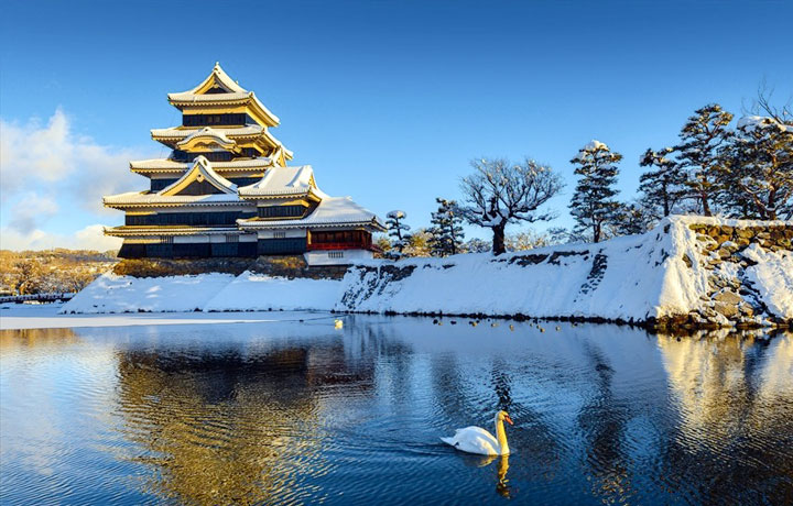 OSAKA MÙA ĐÔNG – THÀNH PHỐ ÁNH SÁNG GIỮA TRỜI TUYẾT TRẮNG