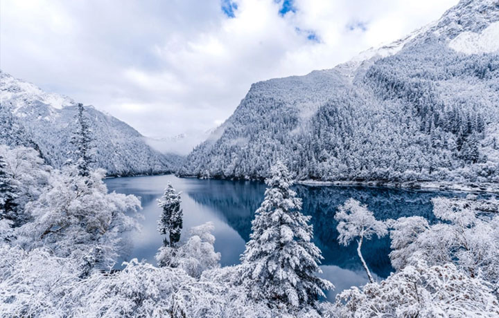 CỬU TRẠI CÂU MÙA ĐÔNG 2026: THIÊN ĐƯỜNG BĂNG GIÁ TRUNG QUỐC CHO DU KHÁCH VIỆT DỊP TẾT