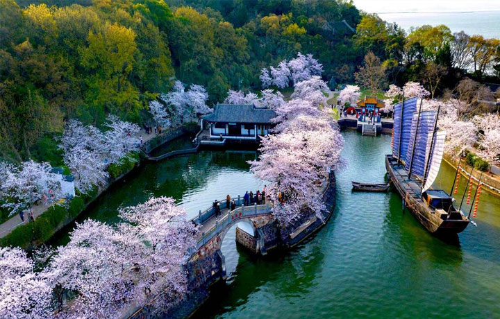 HỒ THÁI HỒ MÙA XUÂN 2026: ĐIỂM NGẮM HOA & CHECK-IN SỐNG ẢO HÀNG ĐẦU VÔ TÍCH