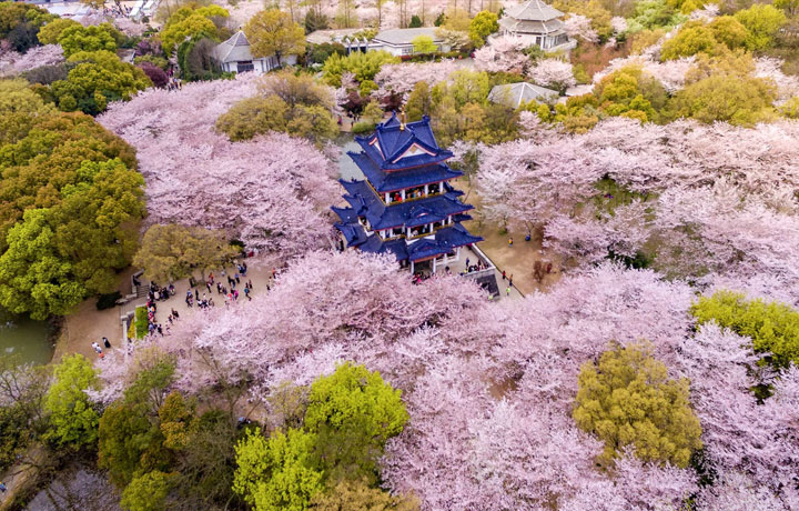 DU LỊCH VÔ TÍCH TẾT NGUYÊN ĐÁN 2026: THÀNH PHỐ CỔ VEN HỒ THÁI HỒ ĐẸP NHẤT MÙA ĐÔNG