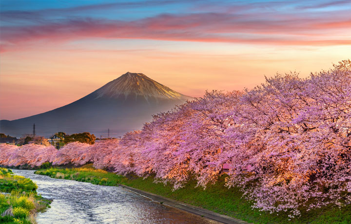 TOUR NHẬT BẢN – KHÁM PHÁ XỨ SỞ MẶT TRỜI MỌC