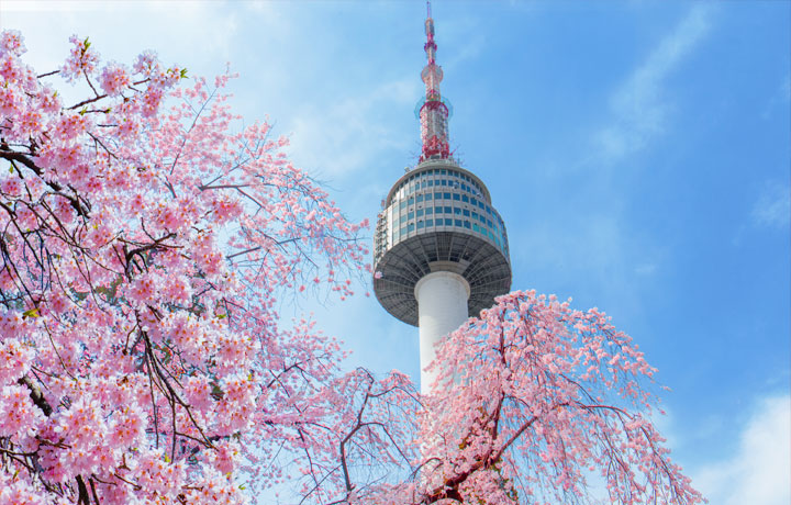 TOUR NƯỚC NGOÀI TẾT 2026 “CHÁY VÉ”: VÌ SAO DU KHÁCH VIỆT CHỌN TRUNG QUỐC VÀ HÀN QUỐC?