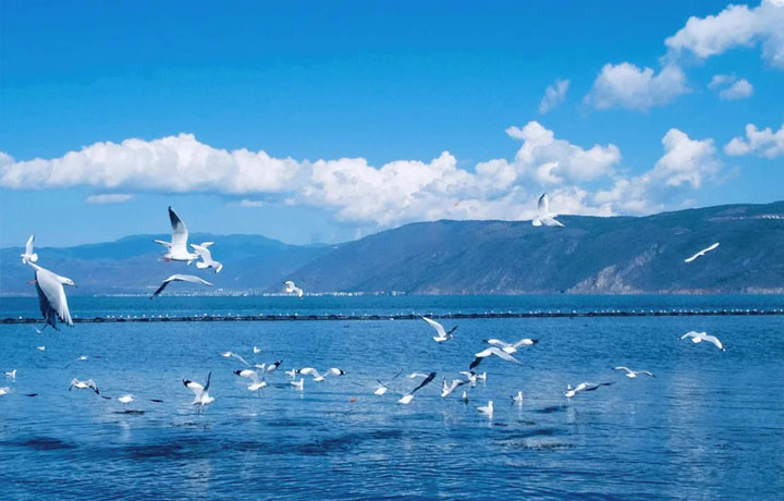 TOUR CÔN MINH – ĐẠI LÝ – LỆ GIANG TẾT 2026 COMBO 3 ĐIỂM ĐẾN XUÂN VÀ ĐÔNG ĐẸP NHẤT