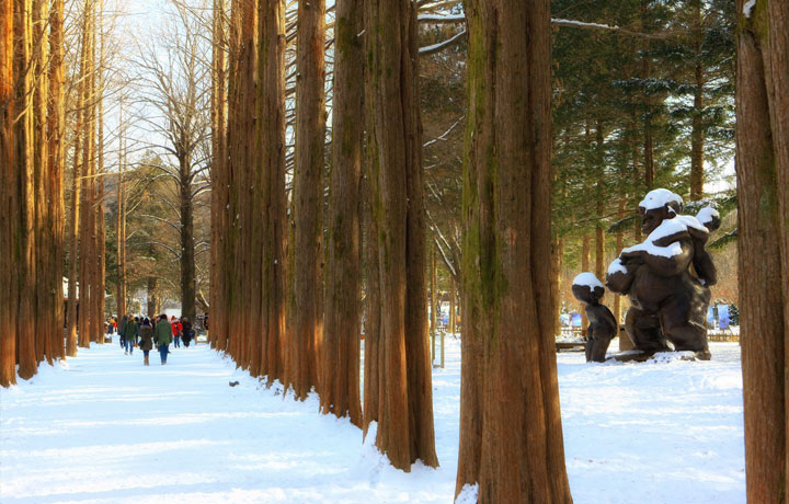 ĐẢO NAMI MÙA ĐÔNG – KHUNG CẢNH LÃNG MẠN TỪ “BẢN TÌNH CA MÙA ĐÔNG”