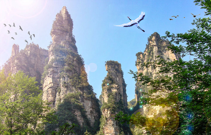 TRƯƠNG GIA GIỚI – THIÊN MÔN SƠN TẾT 2026: REVIEW THỜI TIẾT, LỊCH TRÌNH VÀ MẸO CHỐNG RÉT