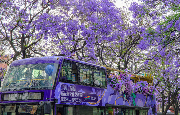 KHÁM PHÁ CÔN MINH – THÀNH PHỐ VƯỜN HOA VÀ THIÊN NHIÊN XANH MÁT