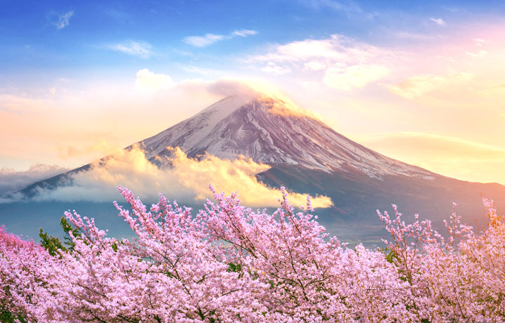 NHẬT BẢN: OSAKA - KYOTO - PHÚ SĨ - TOKYO | VIETJET AIR