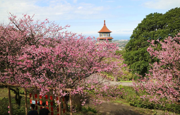 TOUR TẾT ĐÀI LOAN: ĐÀI TRUNG - CAO HÙNG - ĐÀI TRUNG - ĐÀI BẮC | China Airlines