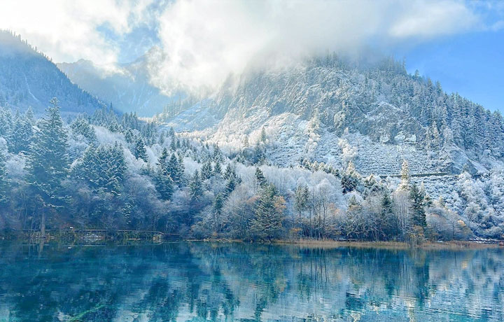 CỬU TRẠI CÂU MÙA ĐÔNG: THIÊN ĐƯỜNG BĂNG TUYẾT CHO CHUYẾN DU XUÂN 2026