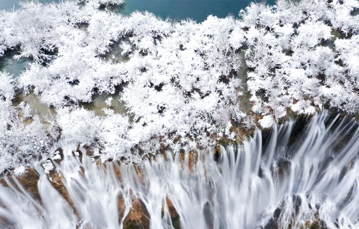 CỬU TRẠI CÂU – KHI HỒ NGŨ HOA HÓA GƯƠNG PHA LÊ GIỮA MÙA ĐÔNG