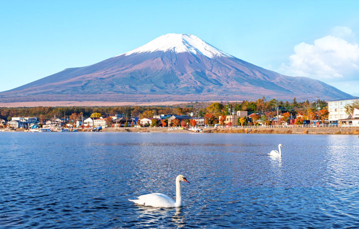 LẠC GIỮA MÙA THU NHẬT BẢN, HÀN QUỐC, ĐÀI LOAN ĐẦY LÃNG MẠN