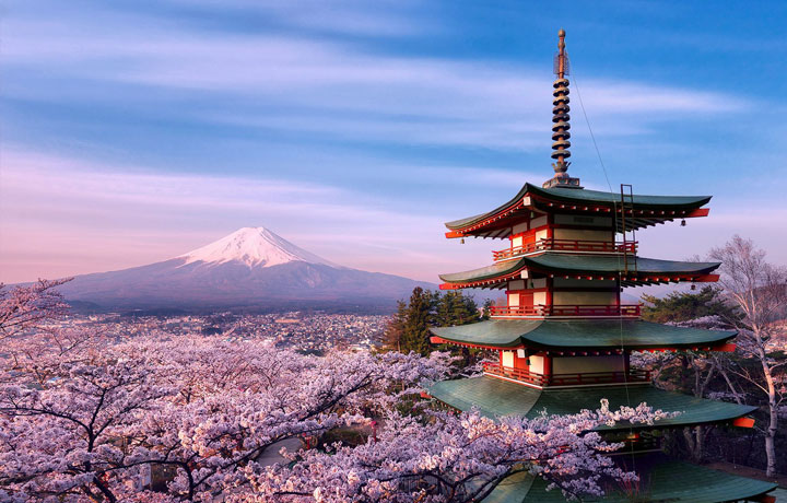 LỊCH NỞ HOA ANH ĐÀO 2026 TẠI NHẬT – HÀN – ĐÀI LOAN – TRUNG QUỐC (CẬP NHẬT MỚI NHẤT)