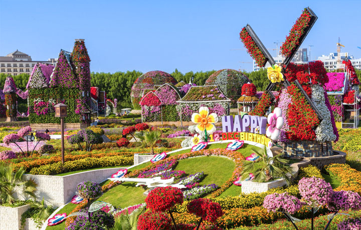 MIRACLE GARDEN – KỲ QUAN HOA GIỮA SA MẠC DUBAI