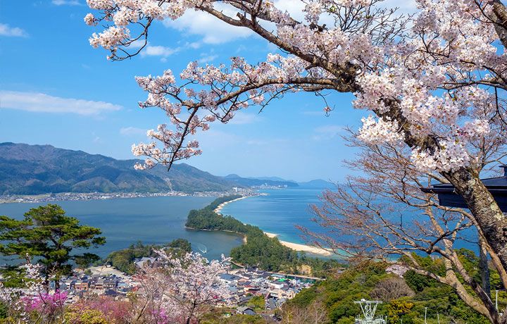 CHECK-IN SAKURA CẠNH BIỂN: NHỮNG VÙNG VEN BIỂN CÓ HOA ANH ĐÀO NỞ RỰC RỠ