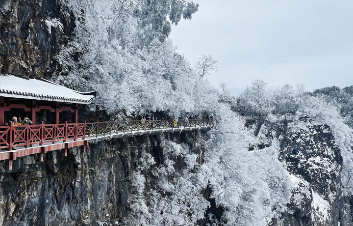 TRƯƠNG GIA GIỚI MÙA ĐÔNG – THIÊN ĐƯỜNG SƯƠNG MỜ VÀ TUYẾT TRẮNG Ở NHÂN GIAN