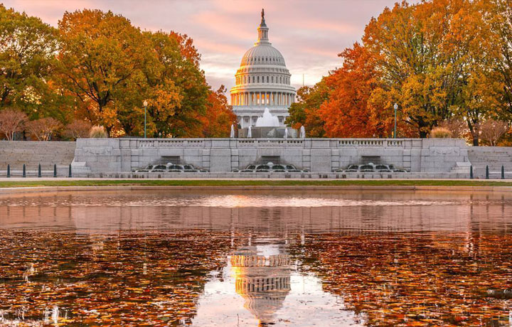 WASHINGTON DC MÙA THU: CHẠM VÀO SẮC VÀNG NƯỚC MỸ