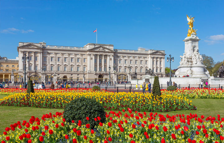 KHÁM PHÁ CUNG ĐIỆN BUCKINGHAM – BIỂU TƯỢNG HOÀNG GIA ANH TẠI TRUNG TÂM LONDON