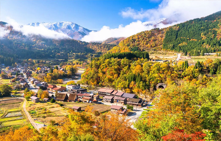 LÀNG CỔ SHIRAKAWA-GO MÙA THU: VIÊN NGỌC BÌNH YÊN GIỮA NÚI RỪNG NHẬT BẢN