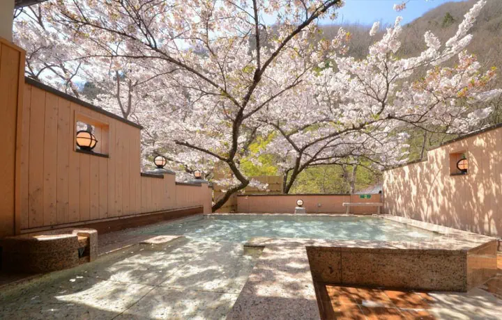 NGẮM HOA ANH ĐÀO KẾT HỢP ONSEN: TRẢI NGHIỆM "CHILL" ĐỈNH CAO TẠI NHẬT – HÀN – ĐÀI LOAN