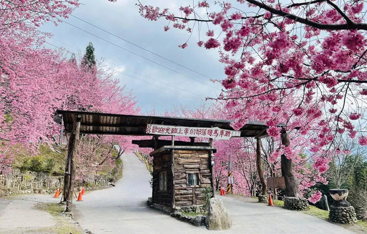 DU LỊCH SAKURA: 7 ĐIỂM ĐẾN NGOÀI NHẬT BẢN NGẮM HOA ANH ĐÀO TUYỆT ĐẸP