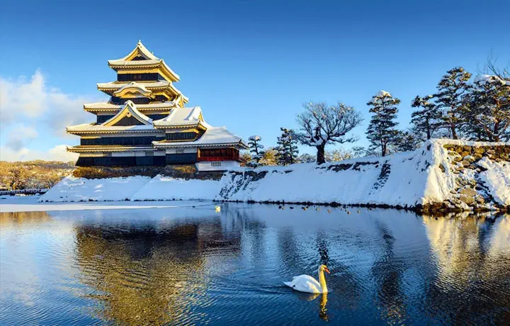 OSAKA MÙA ĐÔNG – THÀNH PHỐ ÁNH SÁNG GIỮA TRỜI TUYẾT TRẮNG
