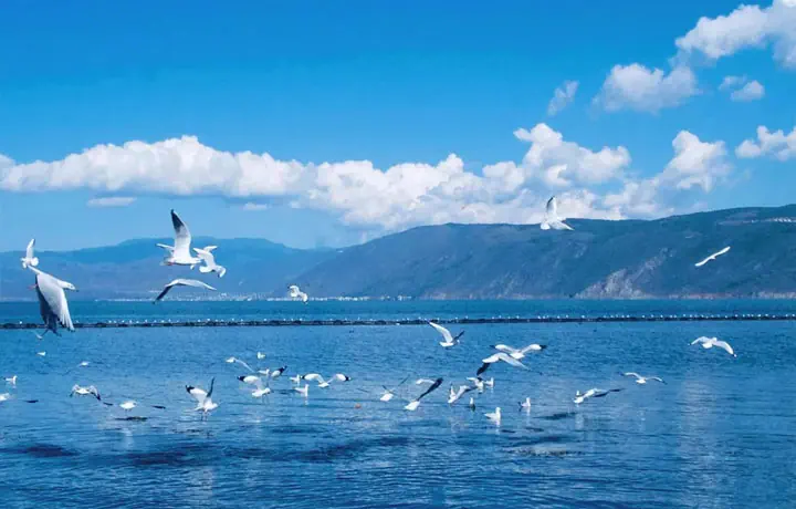 TOUR CÔN MINH – ĐẠI LÝ – LỆ GIANG TẾT 2026 COMBO 3 ĐIỂM ĐẾN XUÂN VÀ ĐÔNG ĐẸP NHẤT