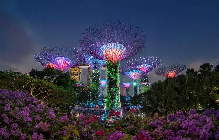 GARDENS BY THE BAY – BIỂU TƯỢNG TƯƠNG LAI CỦA SINGAPORE