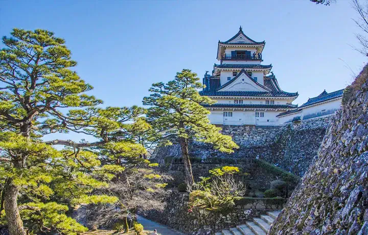EHIME MÙA LỄ HỘI: TỪ MATSUYAMA FESTIVAL ĐẾN NHỮNG HOẠT ĐỘNG TRUYỀN THỐNG VÙNG SHIKOKU